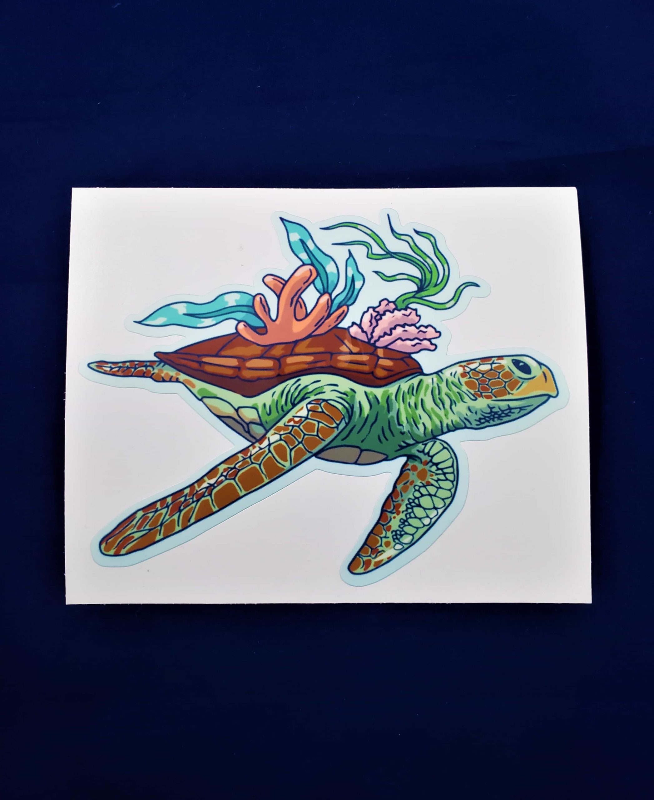 Coasting Decorated Sea Turtle Laminated Vinyl Waterproof Bumper Sticker ...