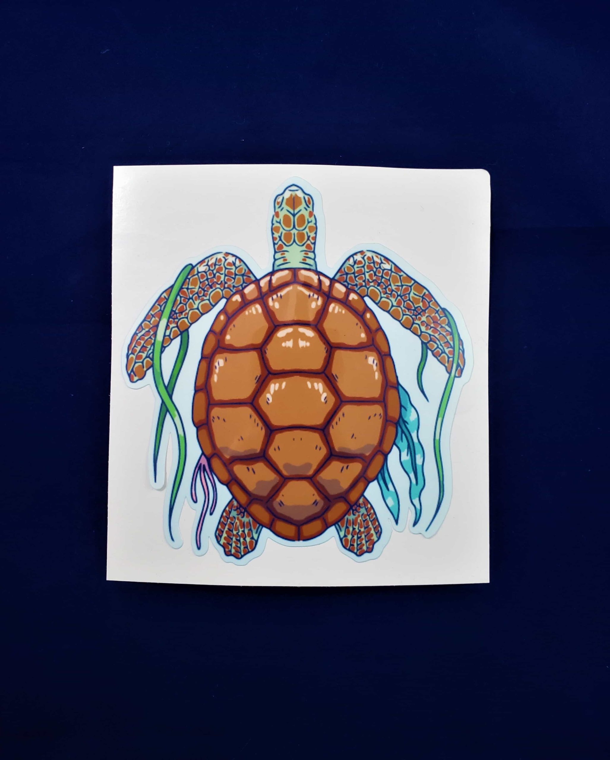 Flat Decorated Sea Turtle Vinyl Waterproof Bumper Sticker – Abstract ...