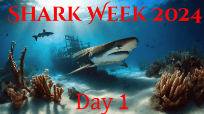 Shark Week Day 1