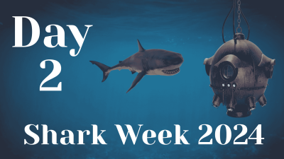 Shark Week Day 2