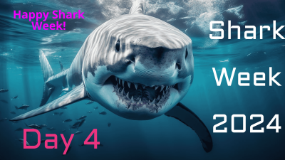 Shark Week Day 4